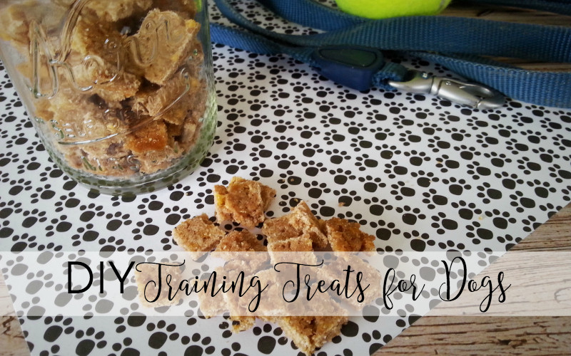 DIY Dog Training Treats
 Simple and Wholesome DIY Training Treats for Dogs