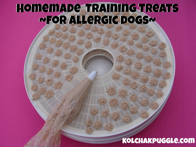 DIY Dog Training Treats
 Homemade Training Treats for Dogs with Allergies Kol s Notes
