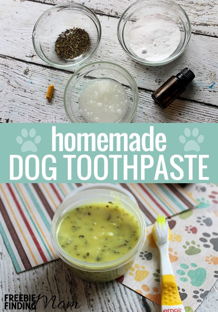 DIY Doggie Toothpaste
 The Best Dog Toothpaste Easy Homemade Dog Toothpaste Recipe