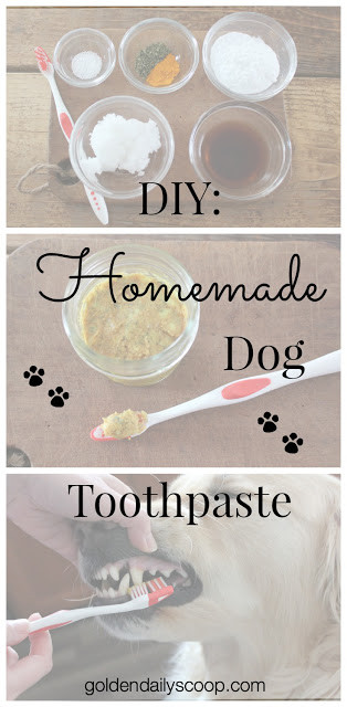 DIY Doggie Toothpaste
 DIY Homemade Dog Toothpaste