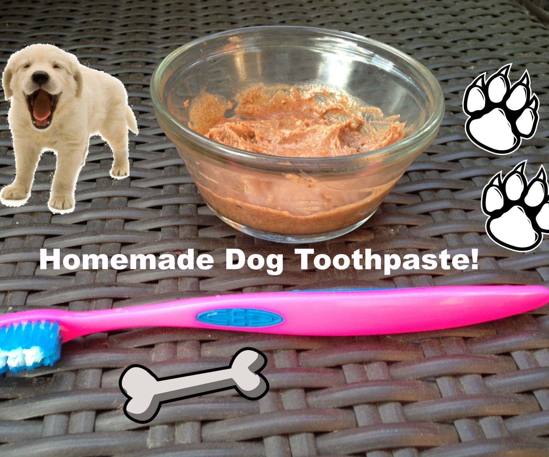 DIY Doggie Toothpaste
 Homemade Toothpaste for Dogs 2