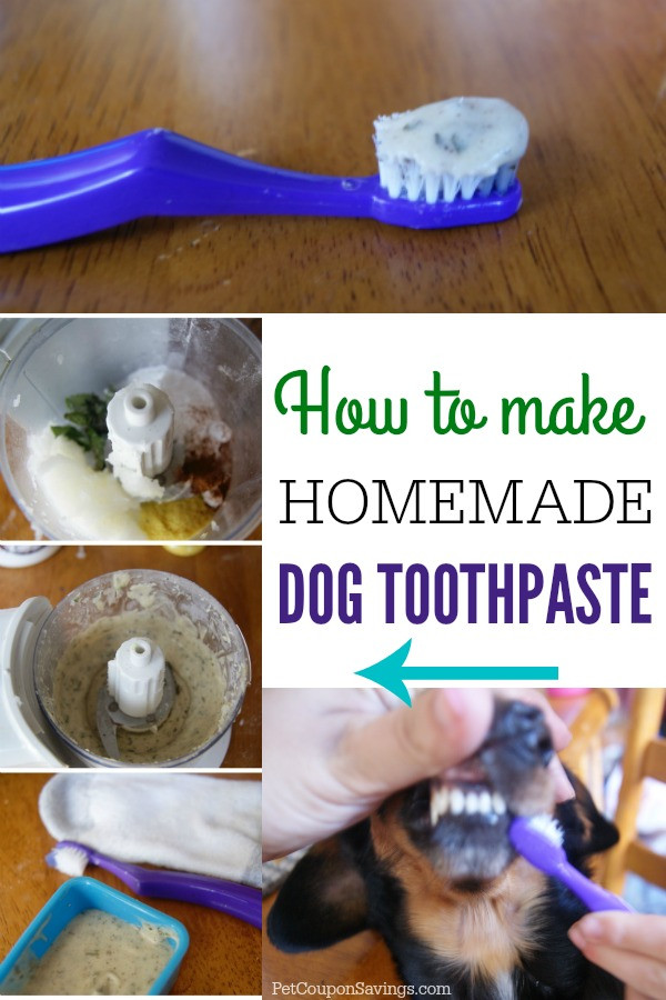 DIY Doggie Toothpaste
 Homemade Dog Toothpaste Pet Coupon Savings
