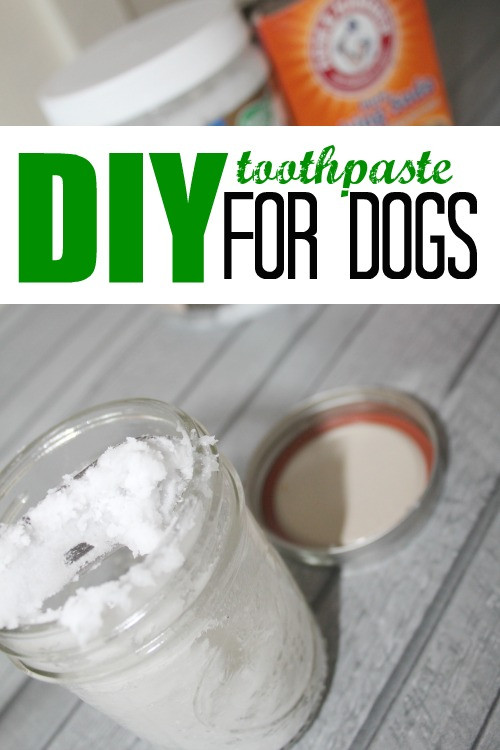 DIY Doggie Toothpaste
 DIY Toothpaste for Dogs