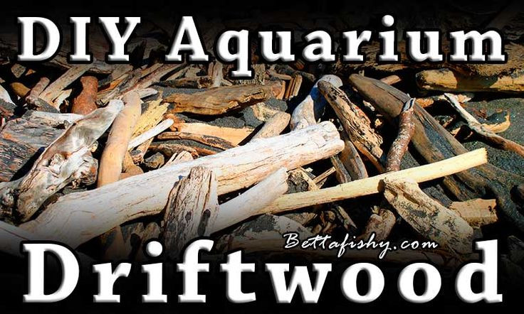 DIY Driftwood For Aquarium
 230 Best images about Aquarium Projects and Ideas on