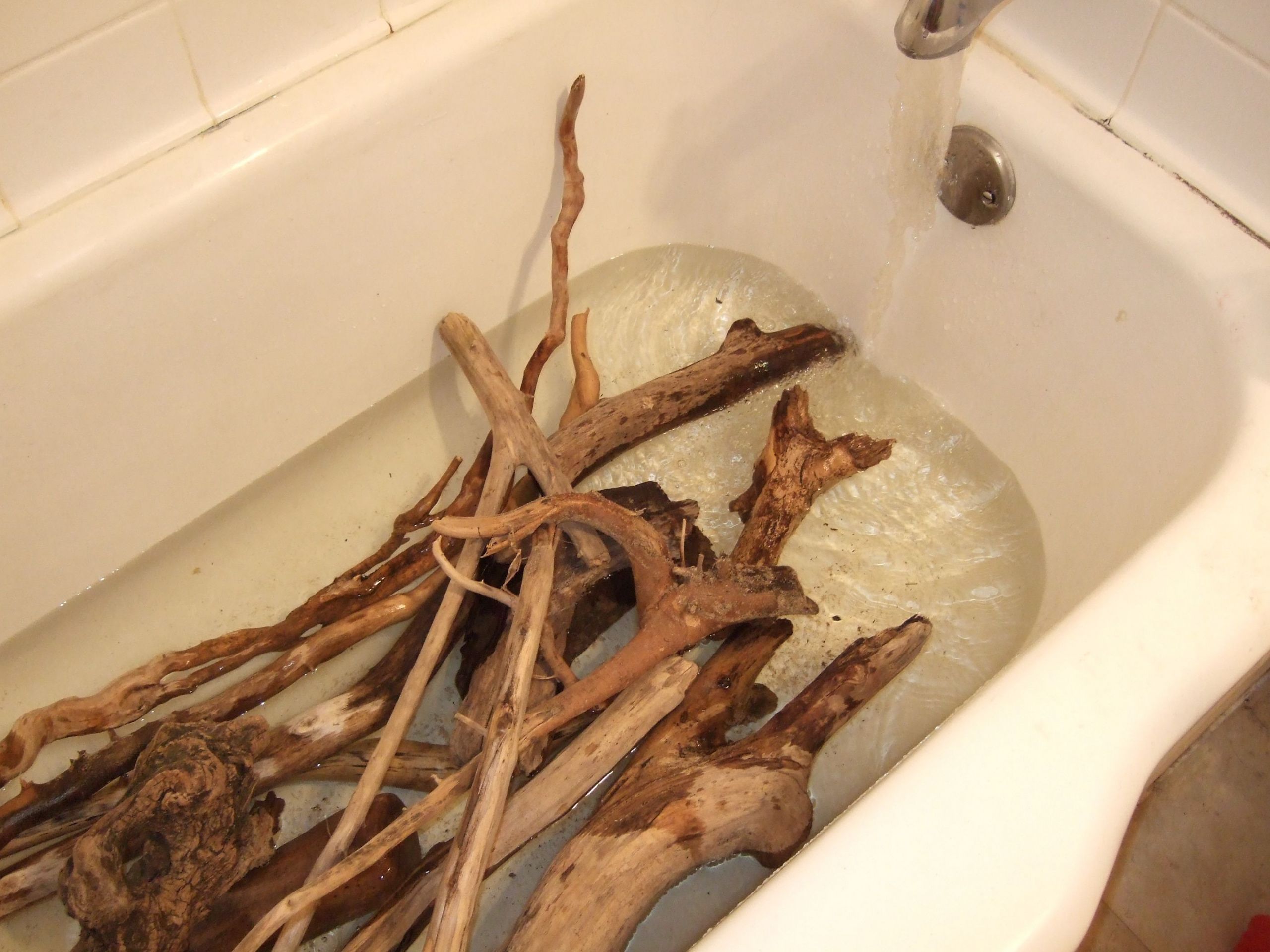 DIY Driftwood For Aquarium
 How sterilize Driftwood soak the driftwood in a bathtub