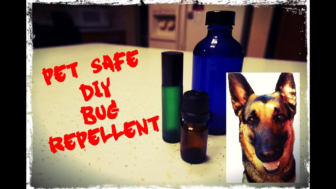 DIY Flea Killer For Dogs
 DIY The Best Natural Dog Friendly Bug Repellent for Ticks
