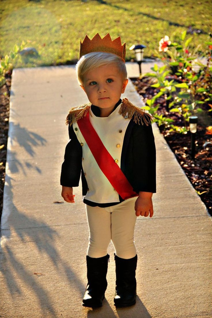 DIY Halloween Costumes For Toddler Boys
 1375 best Halloween Ideas DIY and Costumes images on