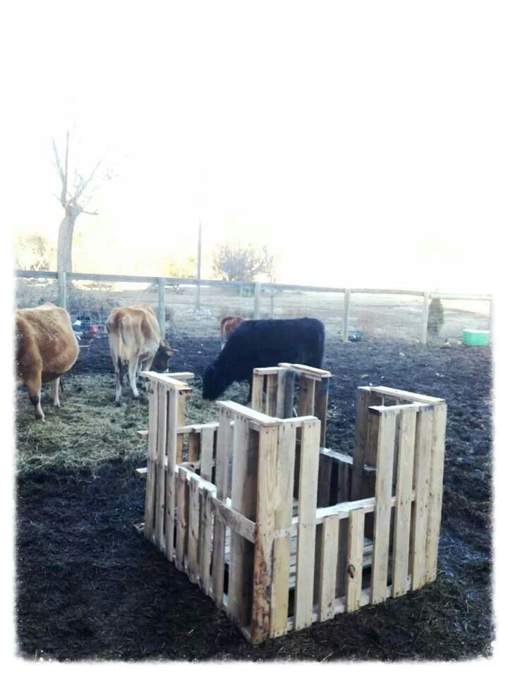 DIY Hay Rack
 Pallet hay feeder