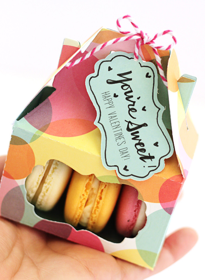 DIY Macarons Box
 20 DIY Ideas For A Priceless Valentine s Day Gift Hongkiat