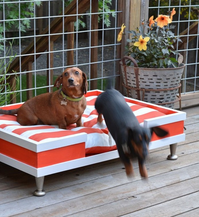 DIY Outdoor Dog Bed
 20 Cool Outdoor Dog Beds that Are Also fortable