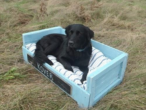 DIY Outdoor Dog Bed
 Pallet Dog Bed or Sofa Projects