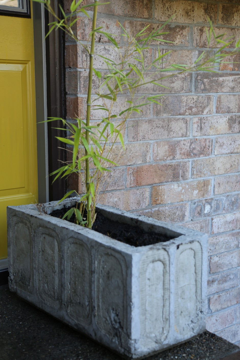 DIY Outdoor Planters
 A DIY concrete planter–it’s easier than it looks
