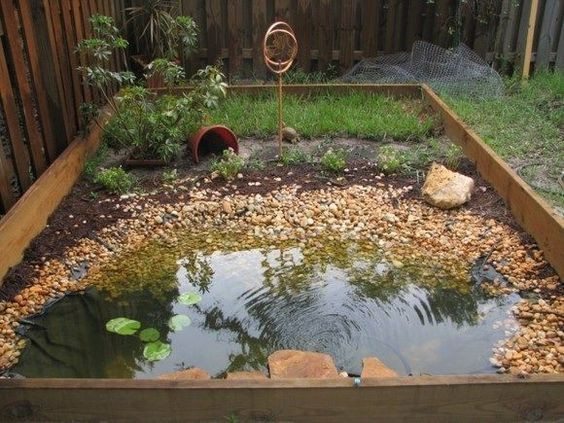 35 Best Diy Outdoor Turtle Pond - Home, Family, Style and Art Ideas