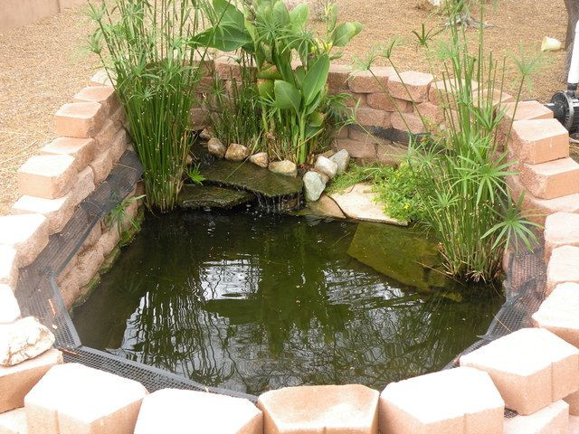 35 Best Diy Outdoor Turtle Pond - Home, Family, Style and Art Ideas