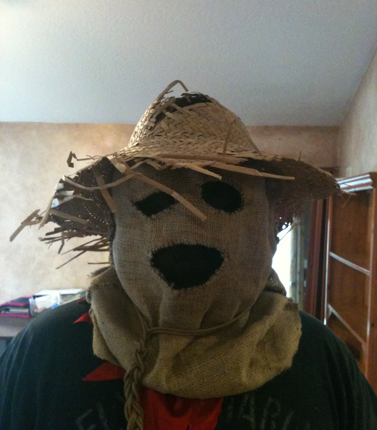 DIY Scarecrow Mask
 Scarecrow Mask 5 Steps with