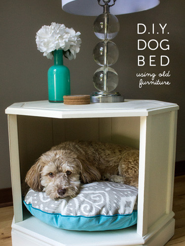 DIY Small Dog Bed
 14 Adorable DIY Dog Bed Cheap Pet Beds