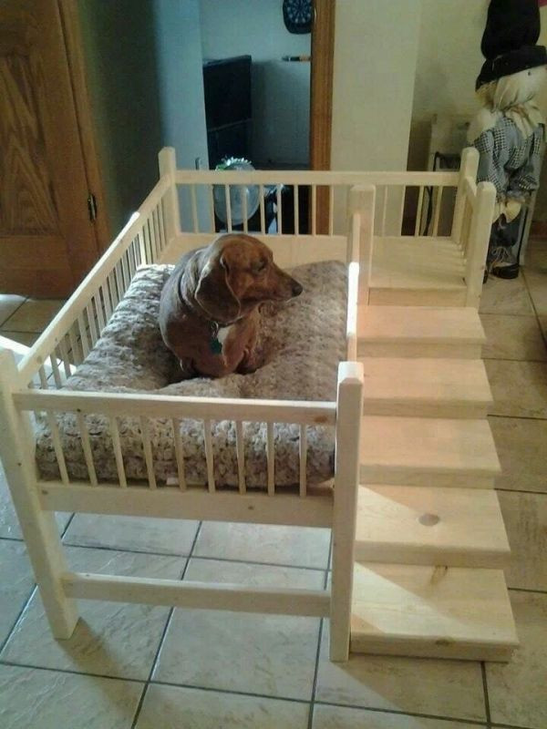 DIY Small Dog Bed
 3 Secret Economical Ideas Diy Pet Beds
