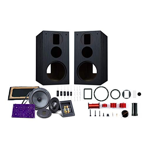 DIY Speakers Kit
 DIY Speaker Kit Amazon