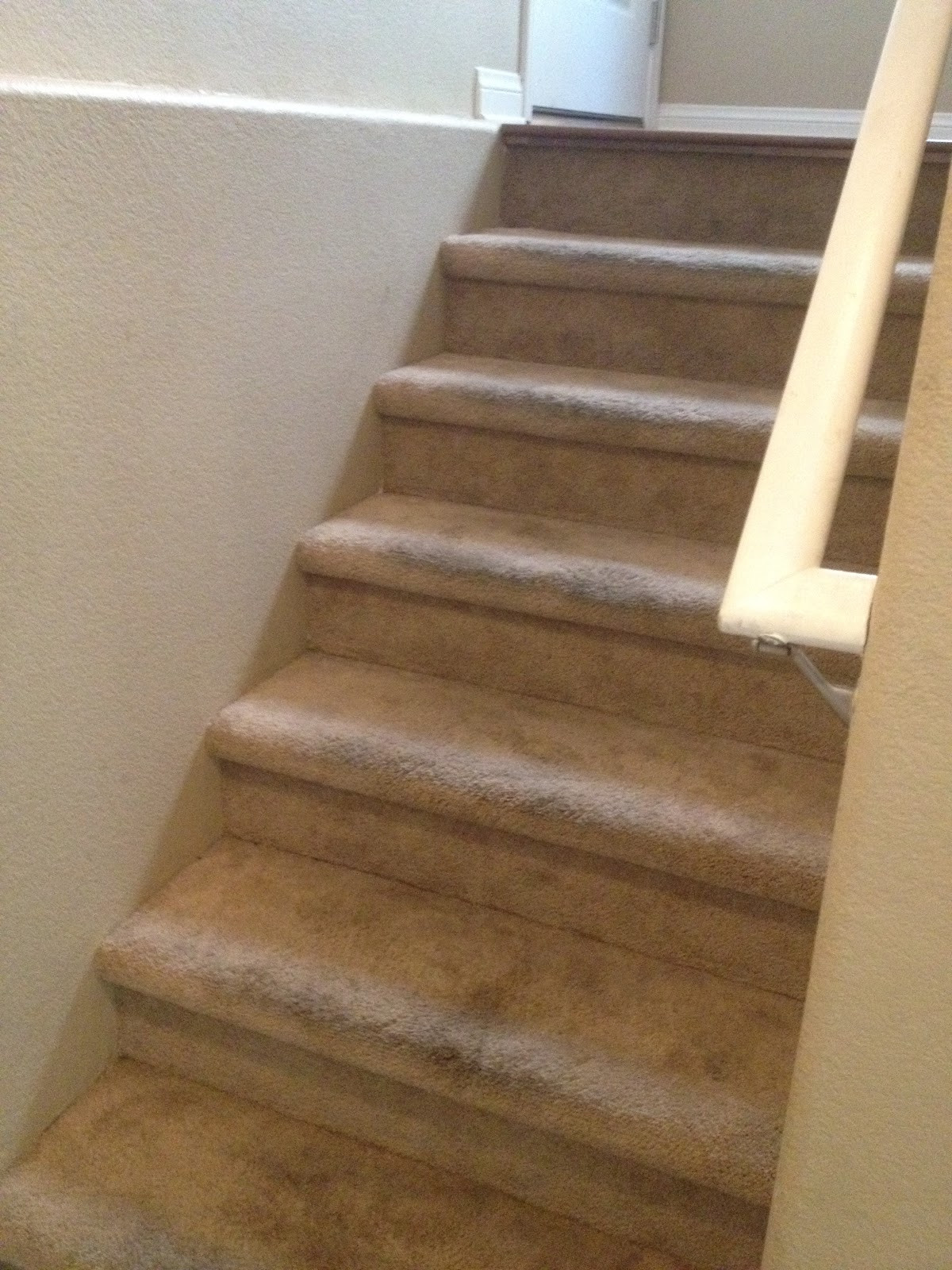 DIY Wooden Steps
 Choosing Contentment Inexpensive DIY Carpet to Wood Stairs