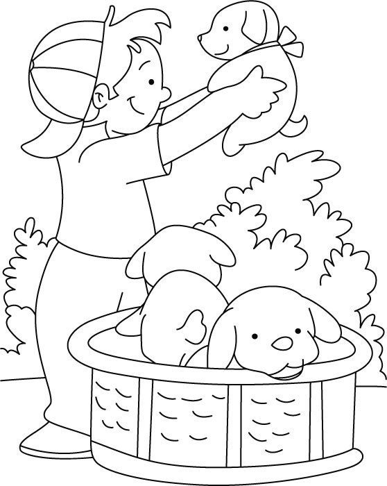 Dog Coloring Pages For Boys
 Boy playing with puppy coloring page