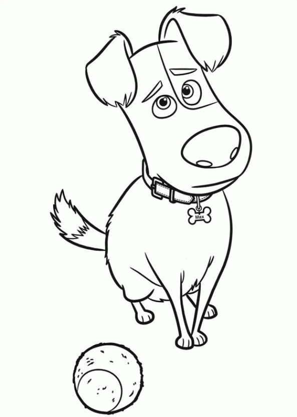 Dog Coloring Pages For Boys
 The Secret Life Pets Coloring Page