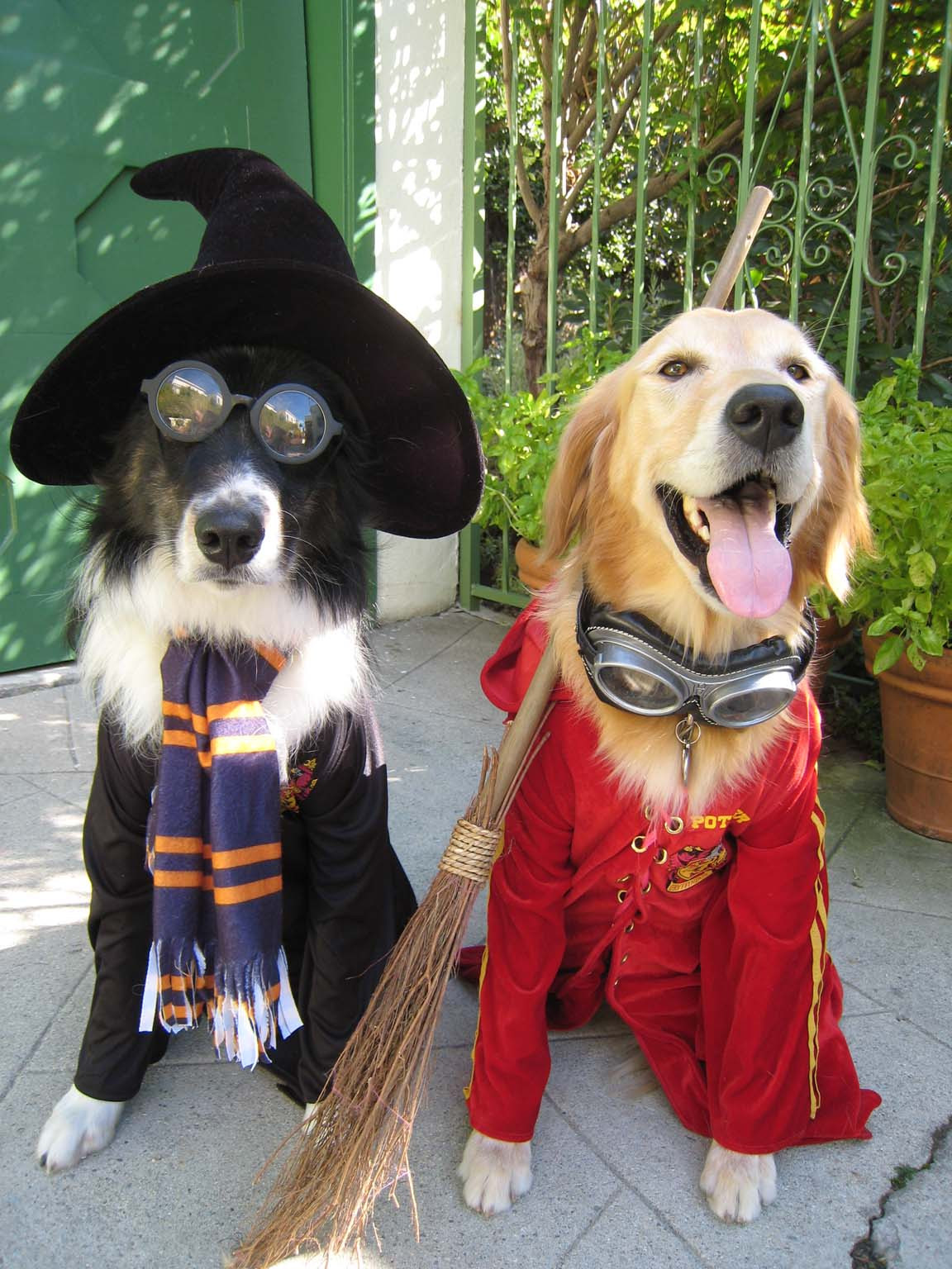 Dog Costumes DIY
 DIY Dog Costumes for All Shapes and Sizes