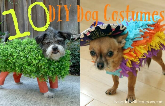 Dog Costumes DIY
 10 Unique DIY Dog Halloween CostumesLiving Rich With Coupons