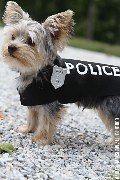 Dog Costumes DIY
 DIY Police Costume and K 9 Dog Halloween Costume