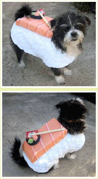 Dog Costumes DIY
 Pets Archives Page 2 of 2 Really Awesome Costumes