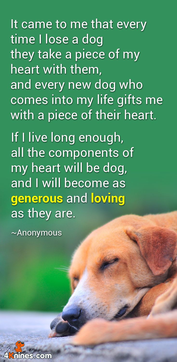 Dog Quotes Inspirational
 1000 images about Inspirational Dog Quotes on Pinterest