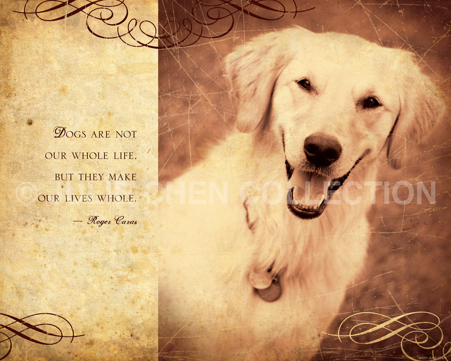 Dog Quotes Inspirational
 Inspirational Quotes For Dog Lovers QuotesGram