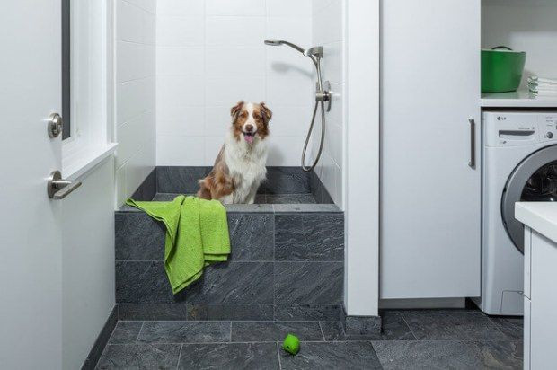 Dog Washing Station DIY
 The 25 best Dog washing station ideas on Pinterest