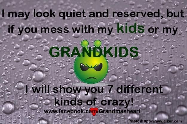 Dont Mess With My Kids Quotes
 Mess With My Family Quotes And Sayings QuotesGram