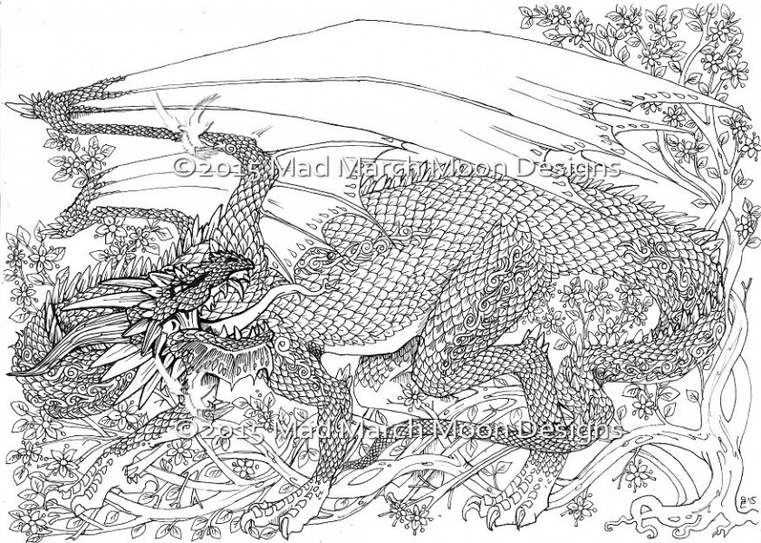 Dragon Coloring Books For Adults
 Get This Dragon Coloring Pages for Adults Free Printable