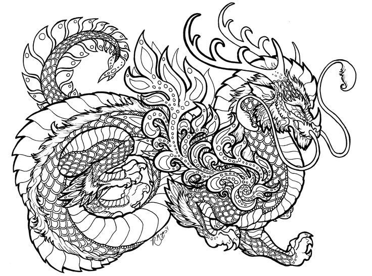 Dragon Coloring Books For Adults
 Dragon coloring pages for adults printable
