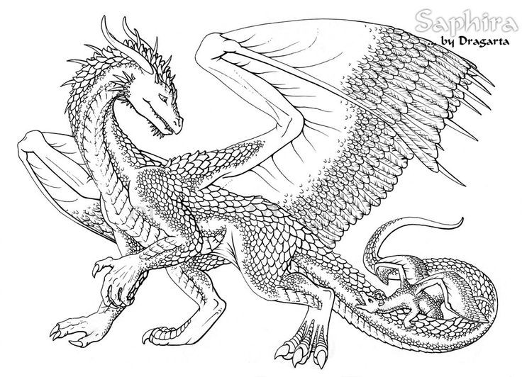 Dragon Coloring Pages For Adults
 Printable chinese dragon coloring pages coloring me