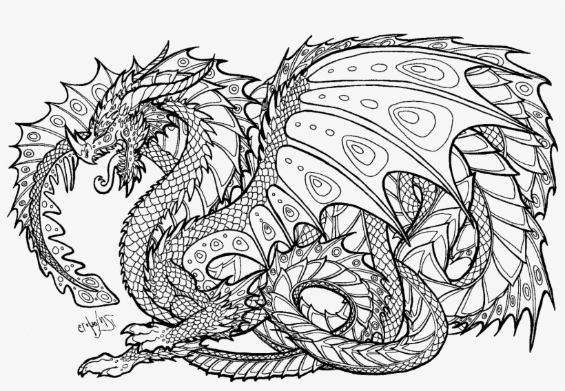 Dragon Coloring Pages For Adults
 Realistic Dragon Coloring Pages For Adults Adult