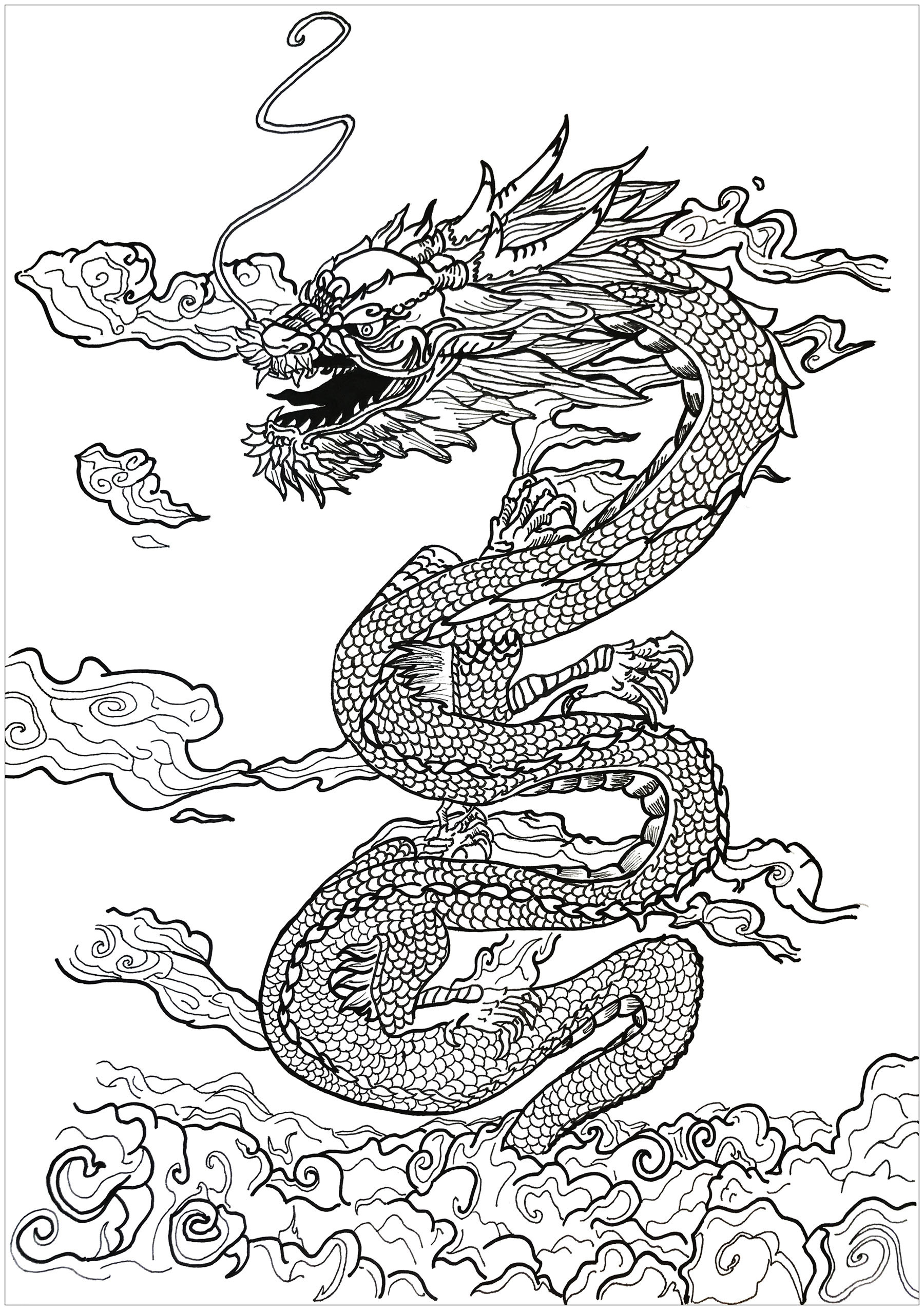 Dragon Coloring Pages For Adults
 Dragon asian inspiration