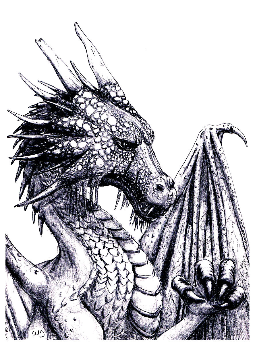 Dragon Coloring Pages For Adults
 Dragon Dragons Adult Coloring Pages