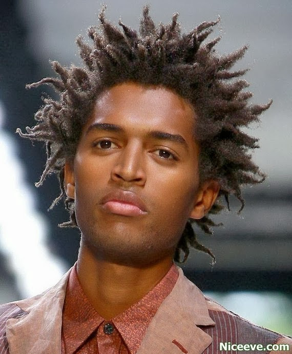 Dreadlocks Hairstyles For Males
 Famous Trendy Dreadlock Hairstyles For Men