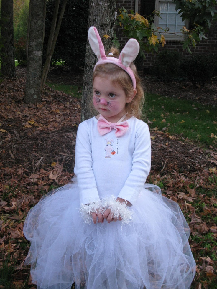 Easter Party Costume Ideas
 Bunny Costume idea girl