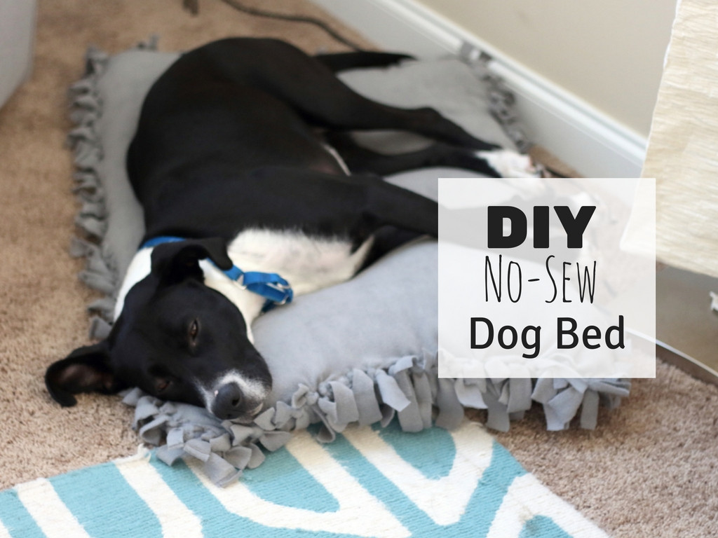 Easy DIY Dog Bed
 TodaysMama Easy DIY Dog Bed Dog Beds and Costumes