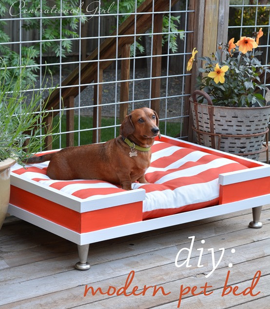 Easy DIY Dog Bed
 Creative DIY Dog Beds