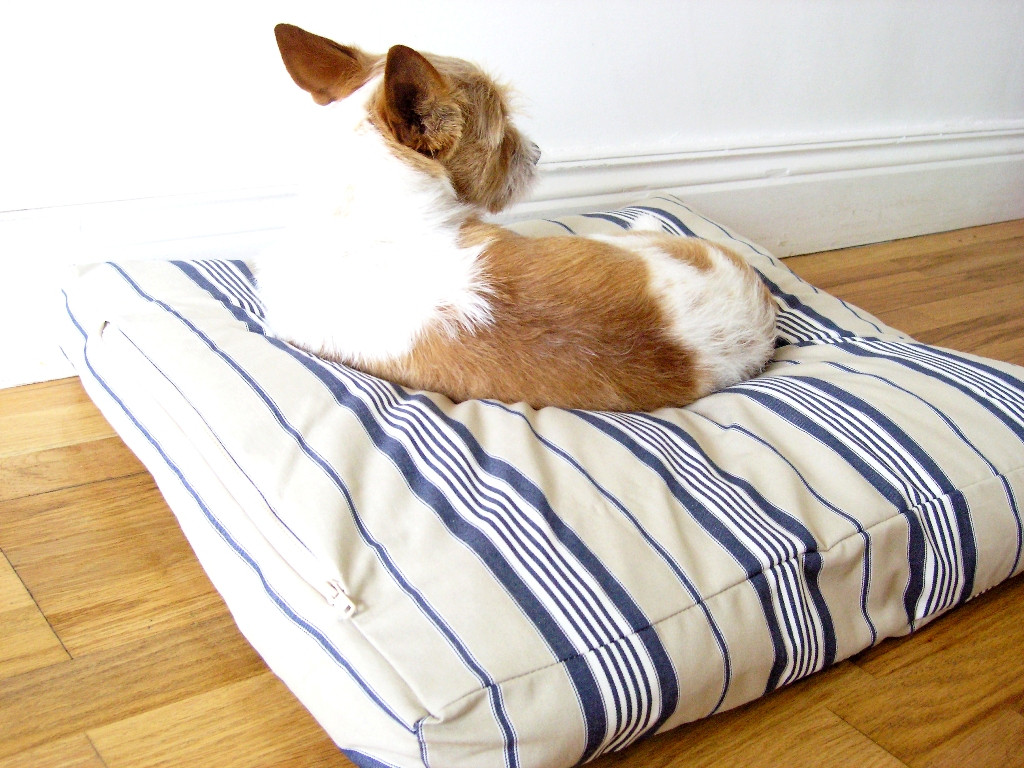 Easy DIY Dog Bed
 made DIY Dog Bed
