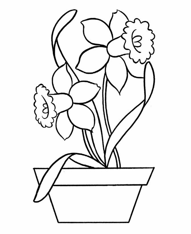 Easy Kids Coloring Pages
 Easy Coloring Pages Best Coloring Pages For Kids