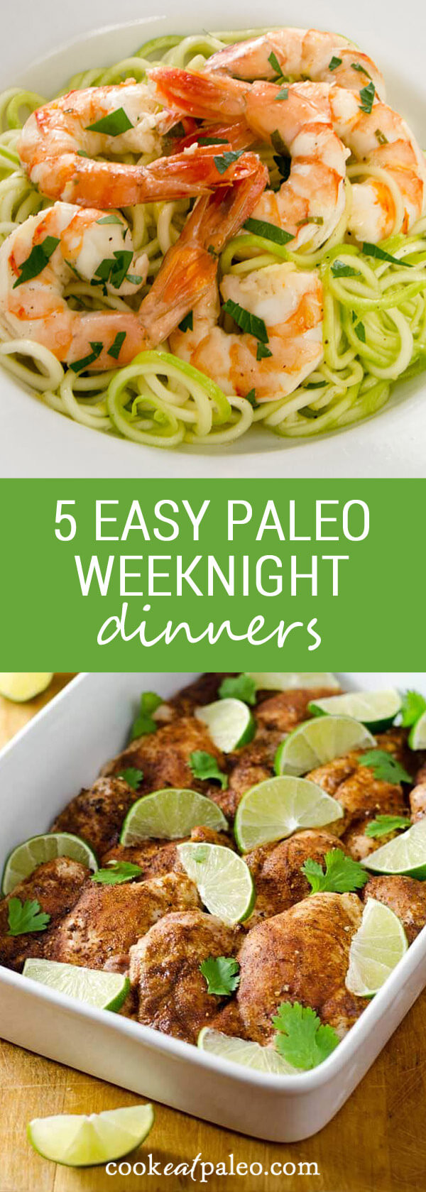 Easy Paleo Dinner
 5 Easy Paleo Dinner Recipes for Busy Weeknights