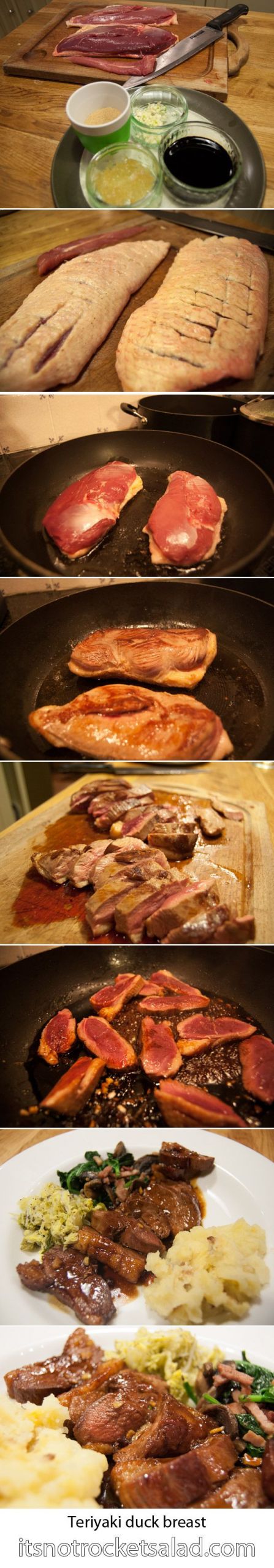 Easy Wild Duck Breast Recipes
 30 best Christmas dinner main dish images on Pinterest