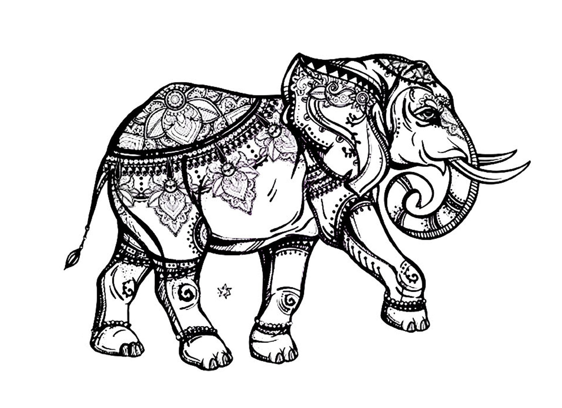 Elephant Adult Coloring Pages
 Elegant elephant Elephants Adult Coloring Pages
