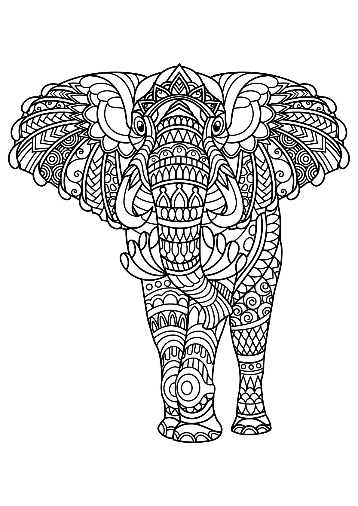 Elephant Adult Coloring Pages
 Free book elephant Elephants Adult Coloring Pages