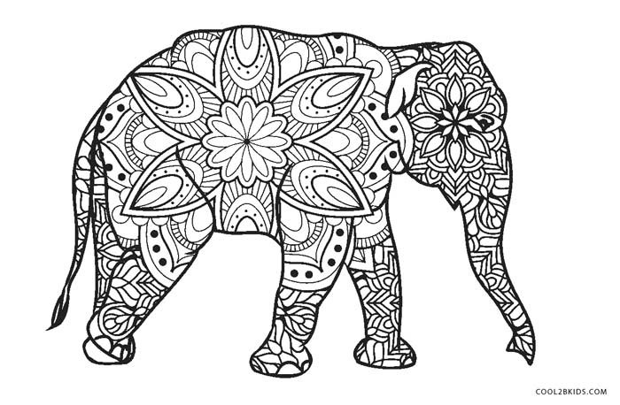 Elephant Adult Coloring Pages
 Free Printable Elephant Coloring Pages For Kids